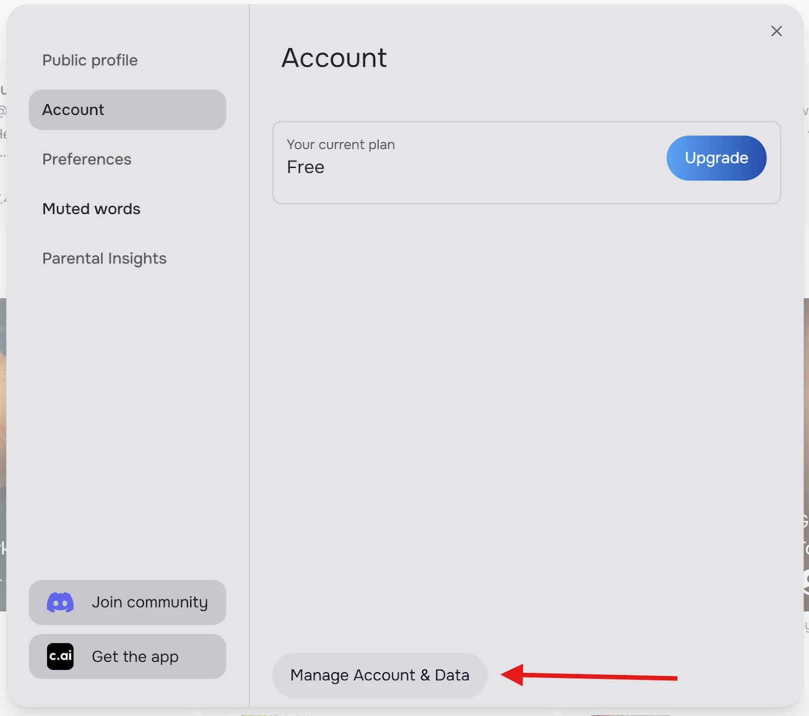 Character AI Desktop Manage Account & Data