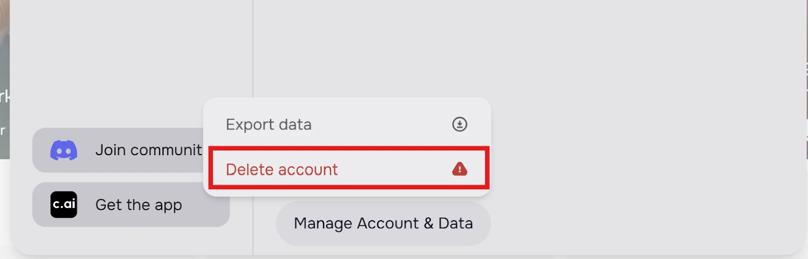 Character AI Desktop Delete Account